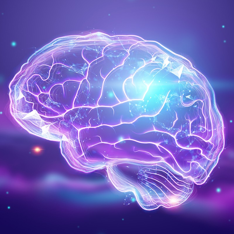 Epilepsia: conheça a doença que atinge atualmente cerca de 8 milhões de pessoas na América Latina